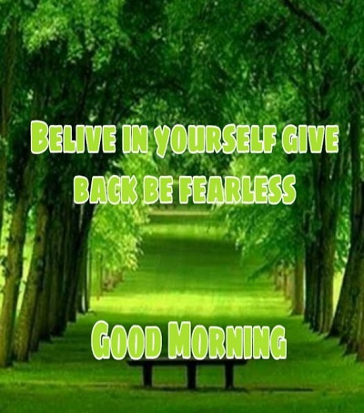 Top 50 Good Morning Quotes to Start the fresh Day Top 50 Good Morning Quotes to Start the fresh Day