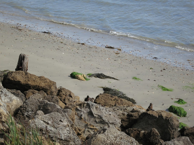 Sea comes aslant in small waves towards rocks and a rotting wooden post.