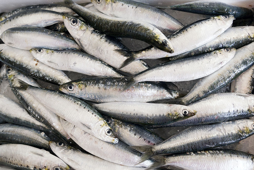 Menús para impresionar: "Una sardina, una sola, es todo el mar"