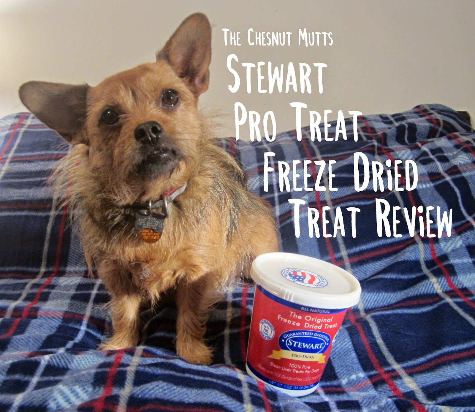 Review Stewart ProTreat Freeze Dried Dog Treats The Chesnut Mutts