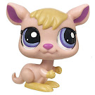 Littlest Pet Shop Tubes Kangaroo (#1913) Pet