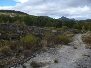 Pistas pasado Sorihuela