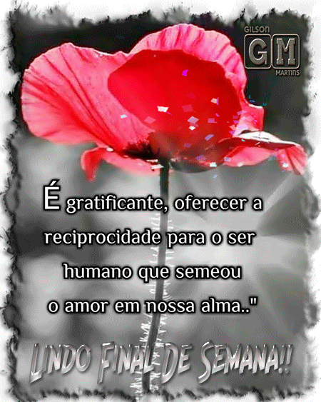 13-12.gif