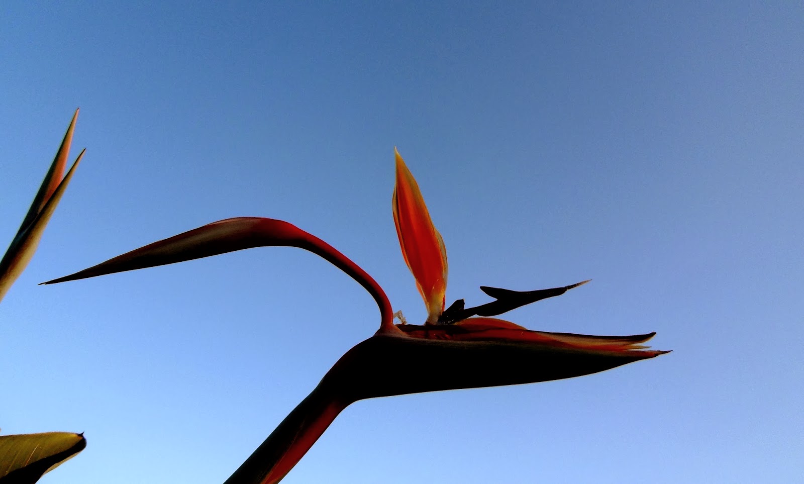 In... visibile Partire è...