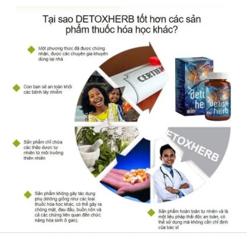 detoxherb co tot khong