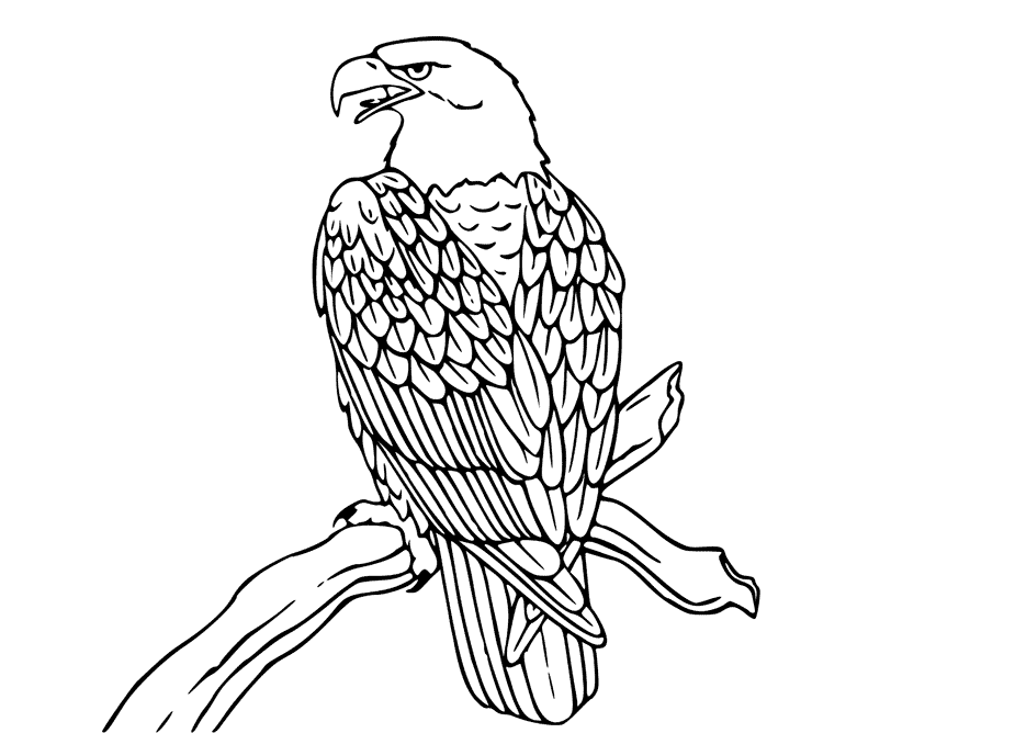 eagle coloring pages easy - photo #25