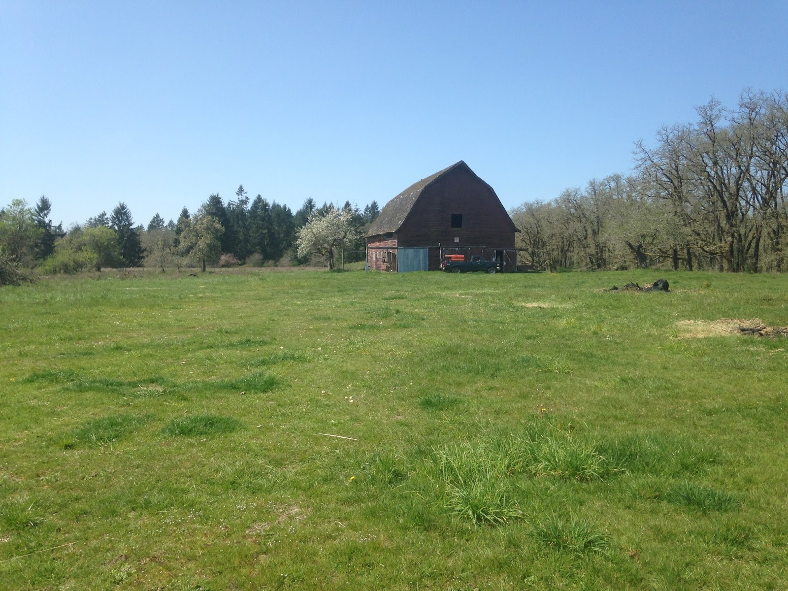 This Life In Ruins Barn At Scatter Creek Wildlife Area