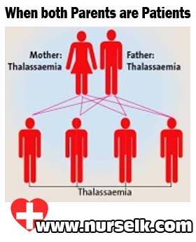 Thalassemia Chart