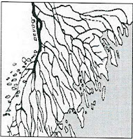 Делта