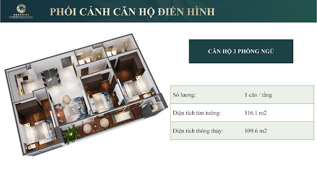 thiết kế giá bán căn hộ dự án chung cư Sunshine Green Iconic Phúc Đồng Long Biên Hà Nội