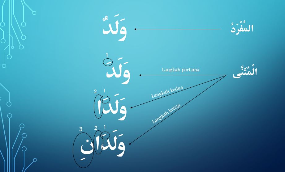 Tanda Marfuu Manshuub Majruur Isim Mutsanna Pelajaran 20 Durusul Lughah 2