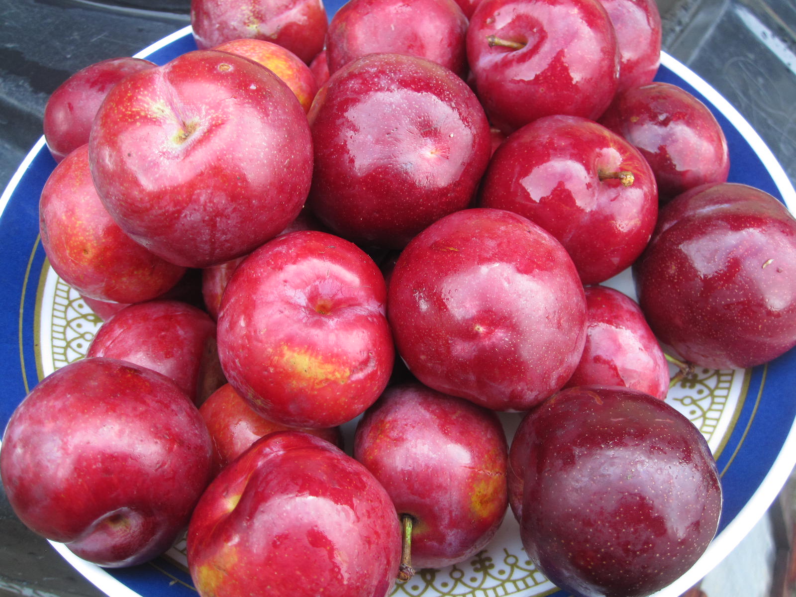 Village View Nagaland Summer rain and more rain everyday