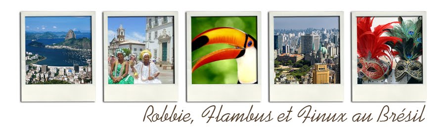Robbie, Flambus et Finux au Brésil