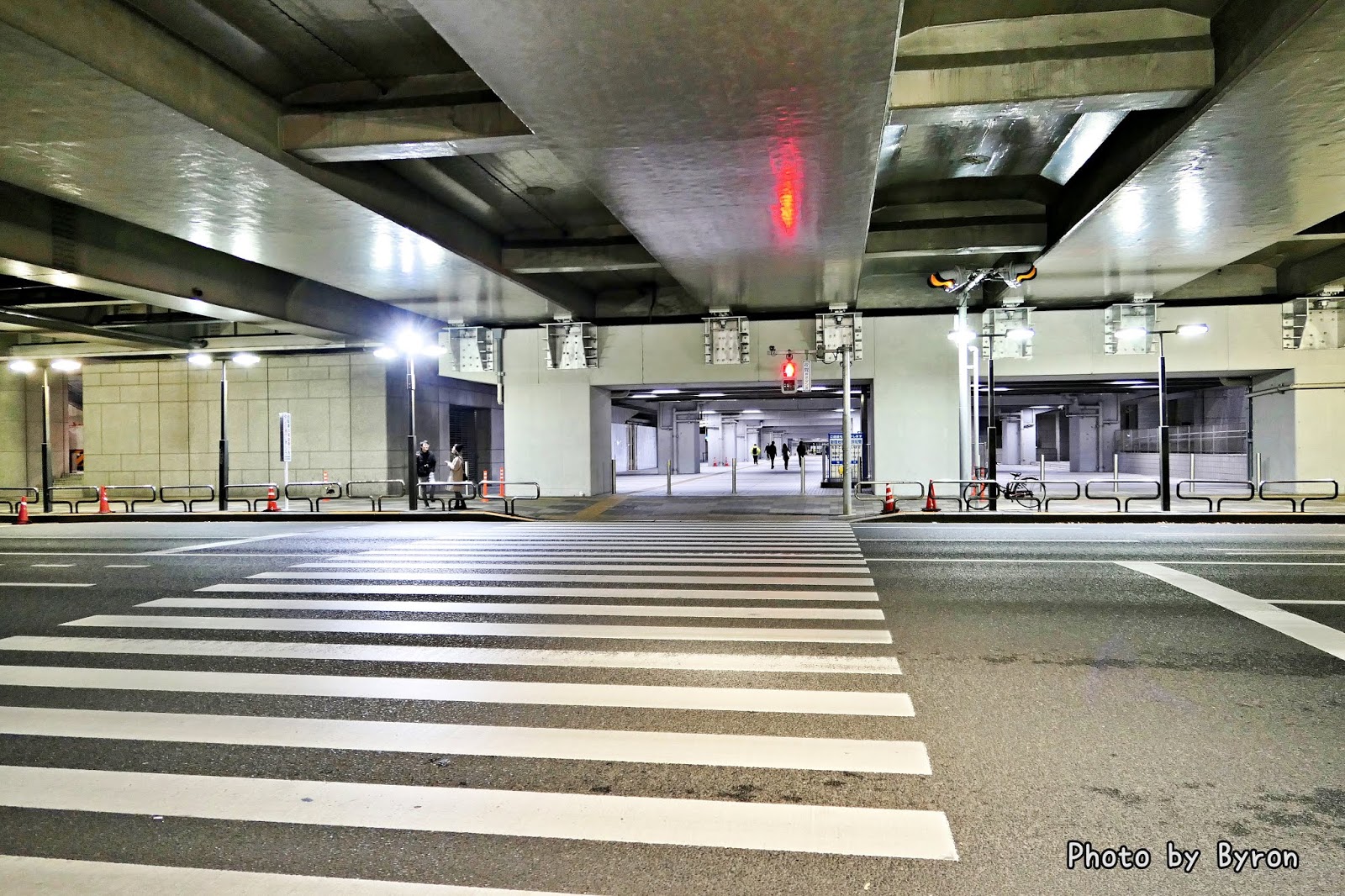 東京都廳觀景台