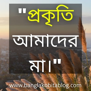 Prokriti Niye Ukti | Prokriti Niye Caption | Prokriti Niye Status | Nature Quotes In Bengali