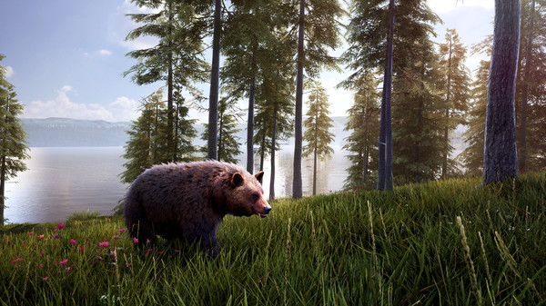 Download Hunting Simulator 2 Bear Hunter PC