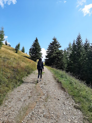 Rifugio De Doo Comelico