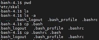 https://www.techitadmin.com/2021/09/linux-login-showing-bash-41-command-line.html