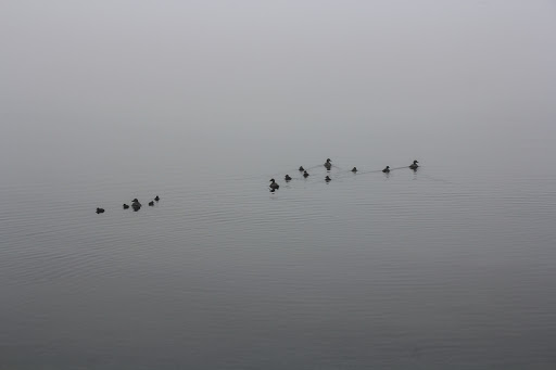 Велопоход по Исландии