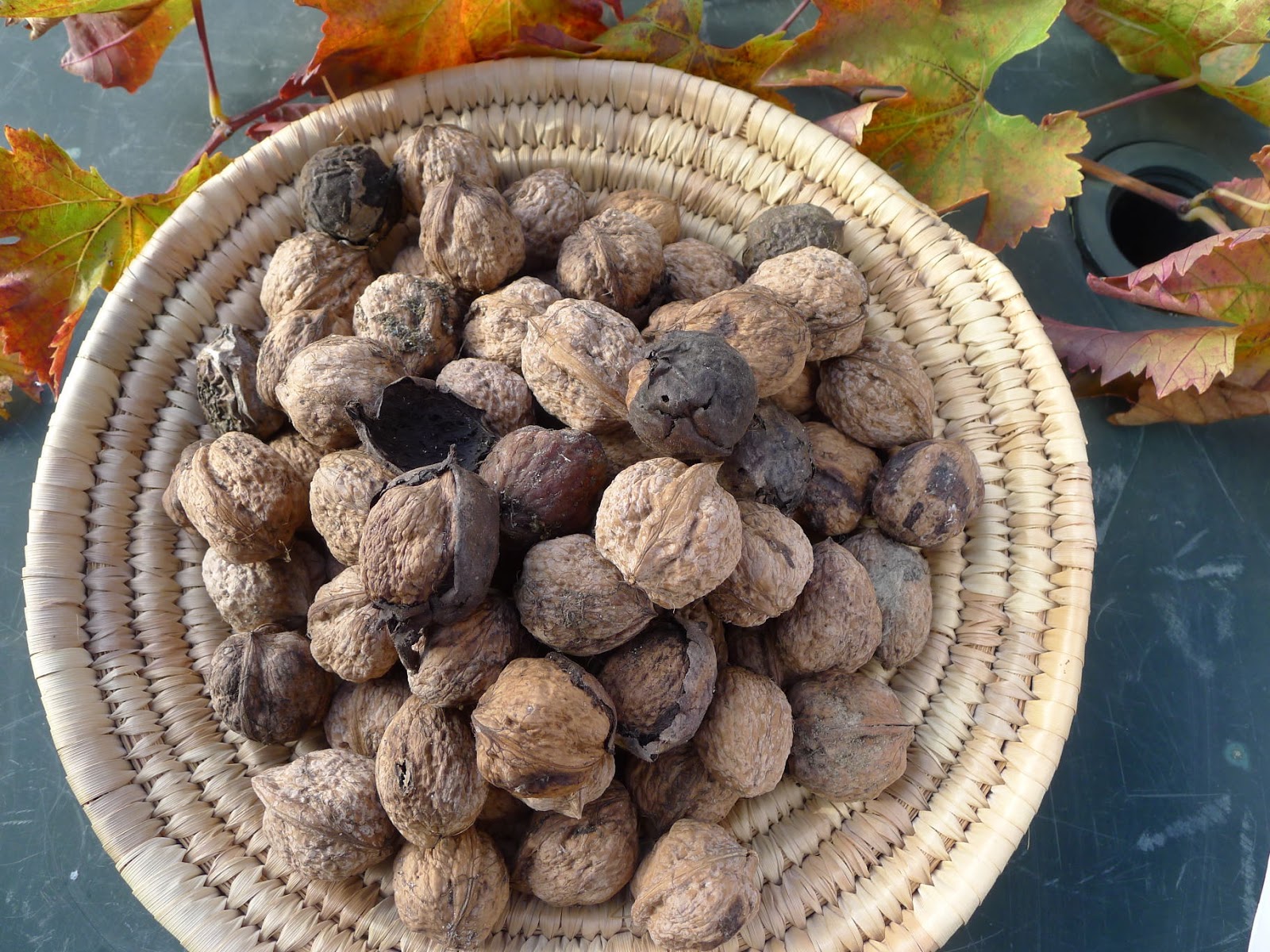 MY KITCHEN IN SPAIN AN EASY WALNUT TORTE