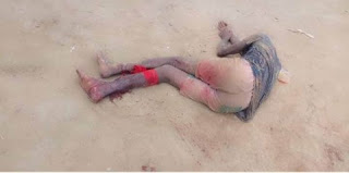Kogi Vigilantes Raid Bandits’ Hideouts, 5 Gang Leaders Arrested, Arms Recovered (Photos)