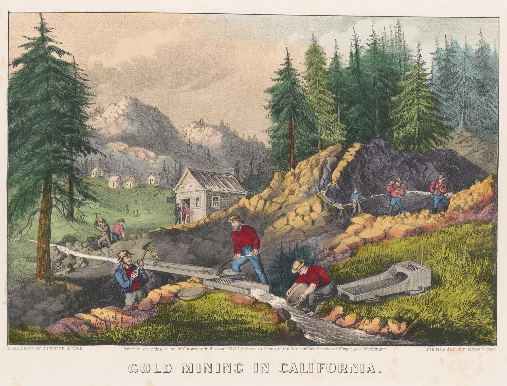 The Monkeys and Parrots Caught Up in the California Gold Rush