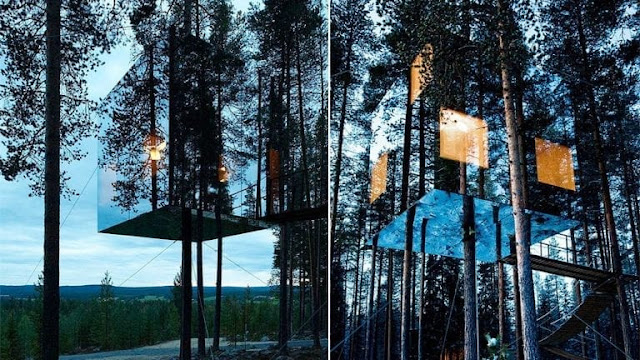 فندق Mirrorcube Tree House ، السويد