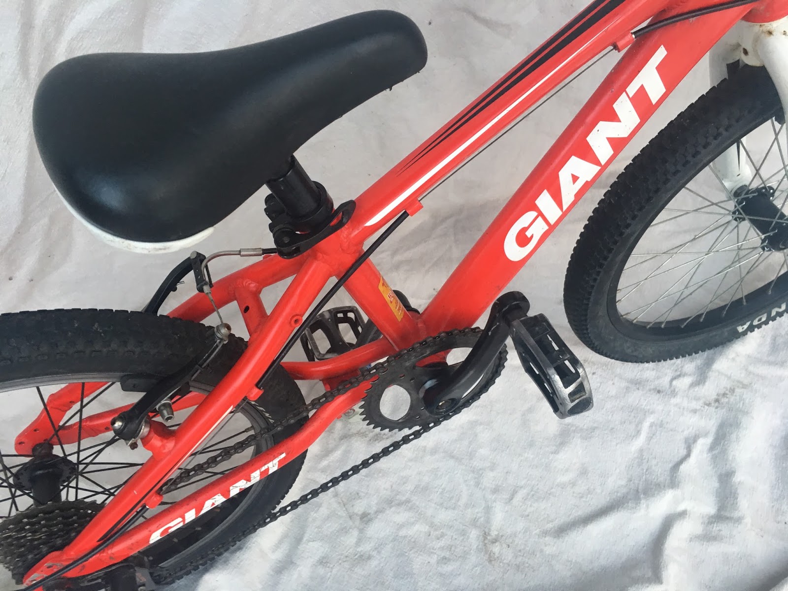 giant 20 inch