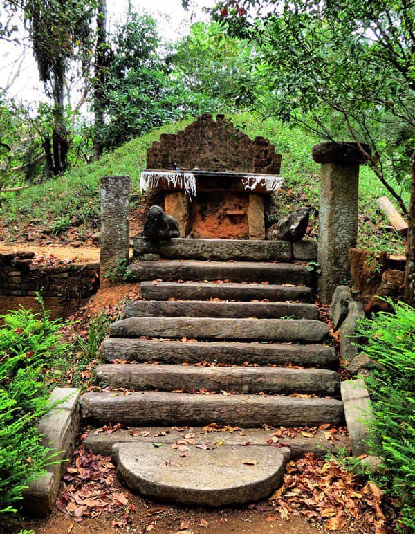 තුරුලතා වලින් වටවූ - කඳාල රජමහා විහාරය 🌿☸️🙏🌳 (Kandala Rajamaha Viharaya) - Your Choice Way