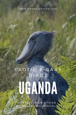 Create a Checklist of the Birds in Uganda