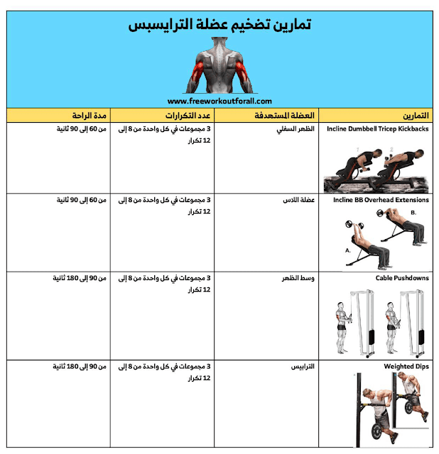 تمارين تضخيم عضلة الترايسبس