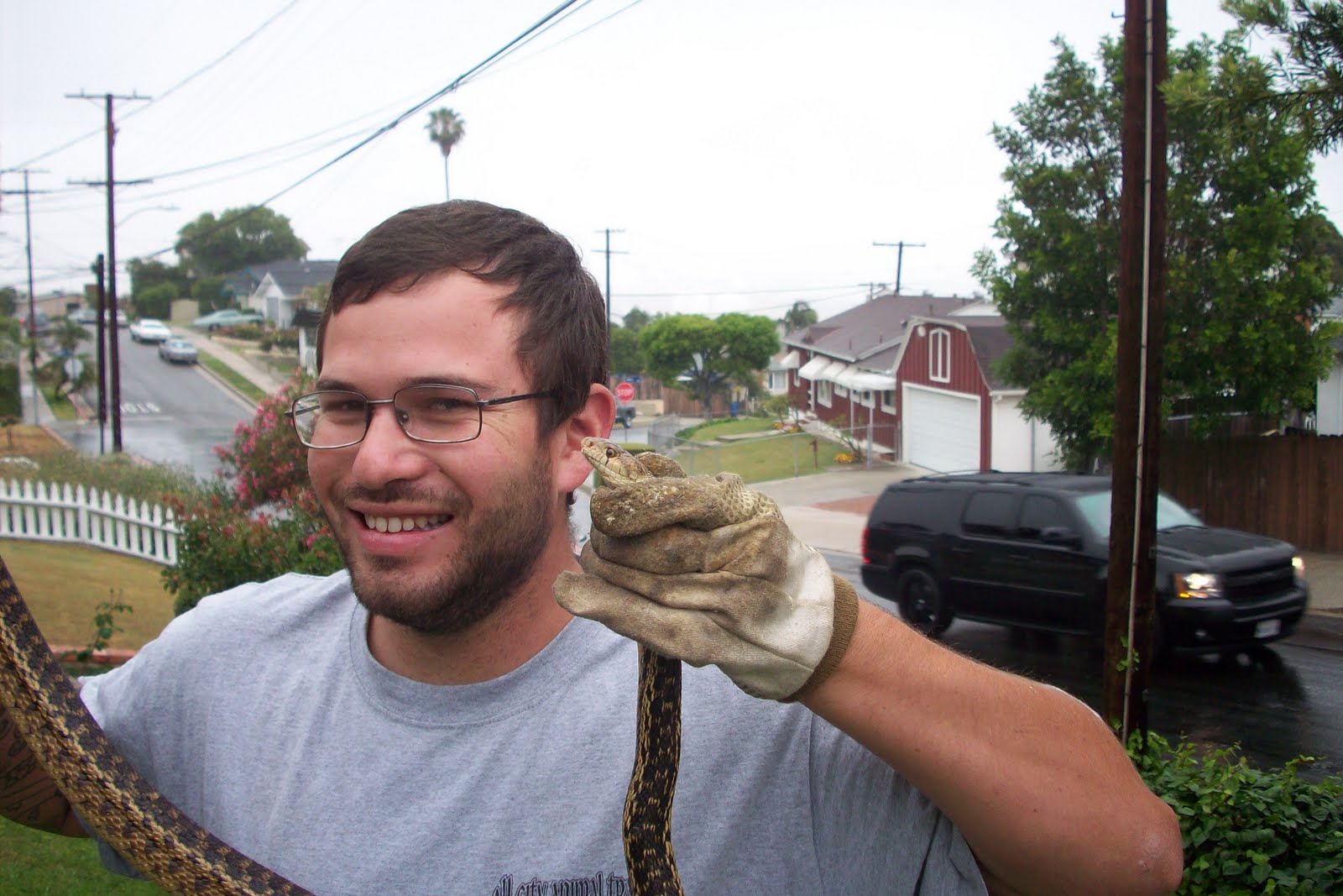 All City Animal Trapping All City Animal Trapping & Urban Wildlife