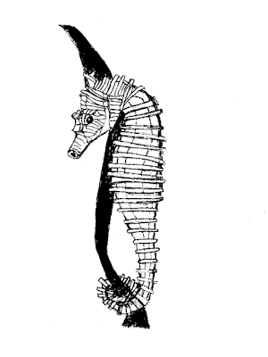 Seahorse drawing by Annake