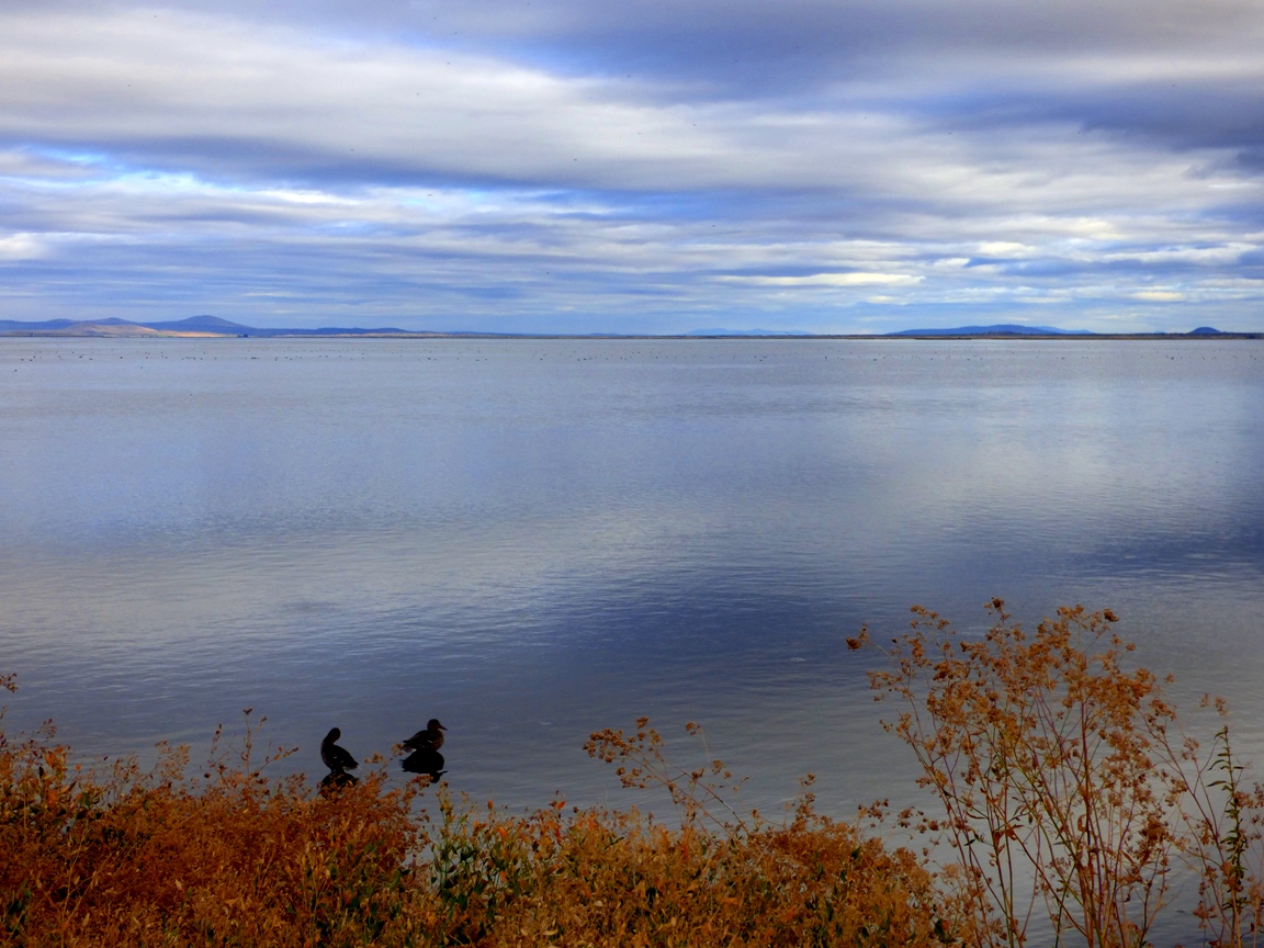 Geotripper The Lake at the End of the World Tule Lake in Northern