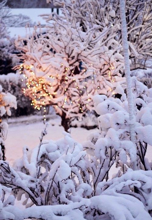 Beautiful Winter ~ Dreamy Nature