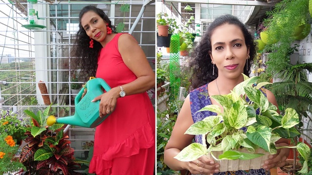 Amrita Bharti from Pune transformed her balcony story