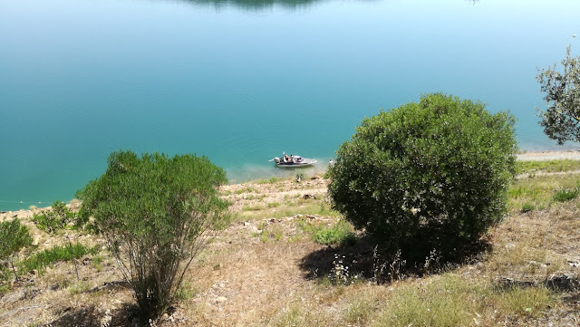 Passeios de Barco