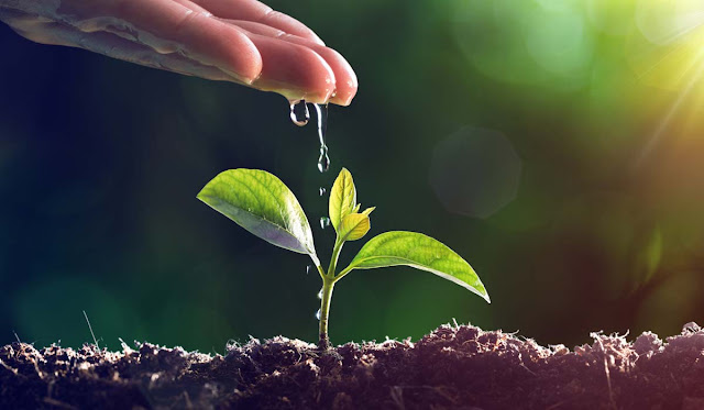 Jacobina promove o 1º Seminário Municipal de Meio Ambiente