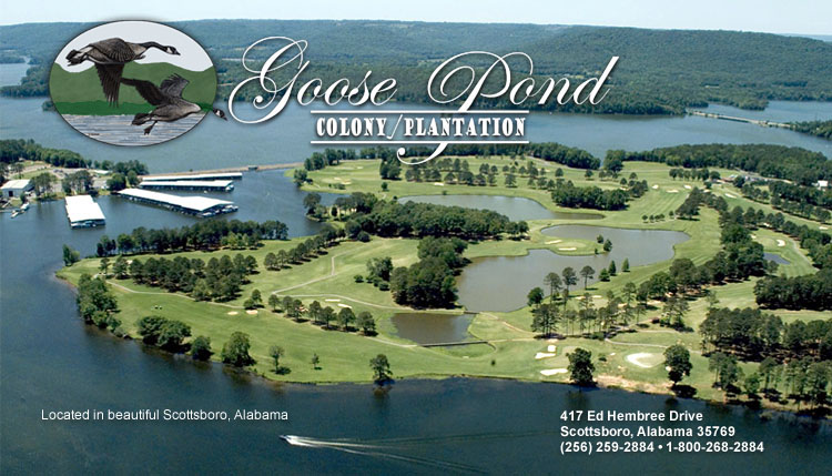 In The Boro News Video And Commentary Goose Pond Colony A