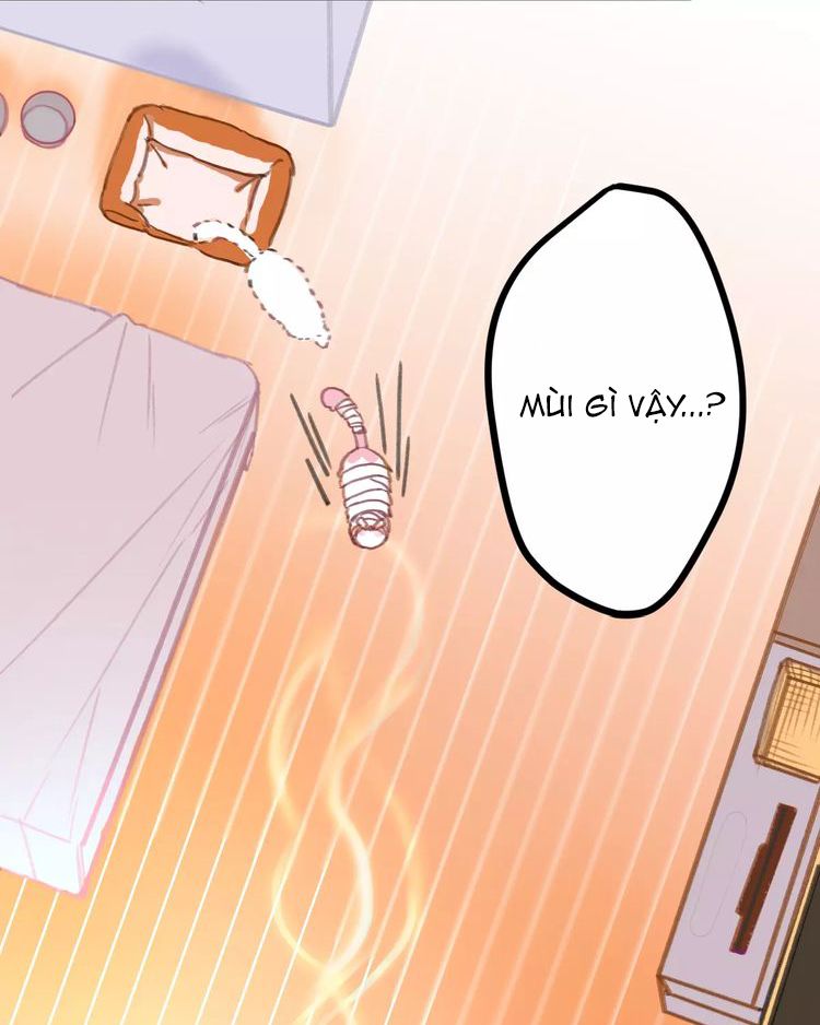 Đọc truyện Thế giới của một chú mèo - Chapter 3