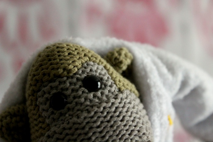Lilly Ashton : The PG Tips Monkey: Up Close & Personal