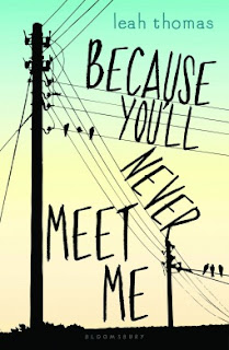 Because You'll Never Meet Me by Leah Thomas