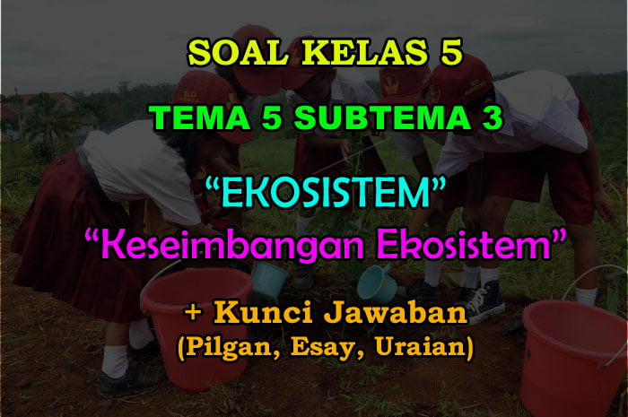 40 Soal Kelas 5 Tema 5 Subtema 3 Keseimbangan Ekosistem Jawaban Muttaqin Id