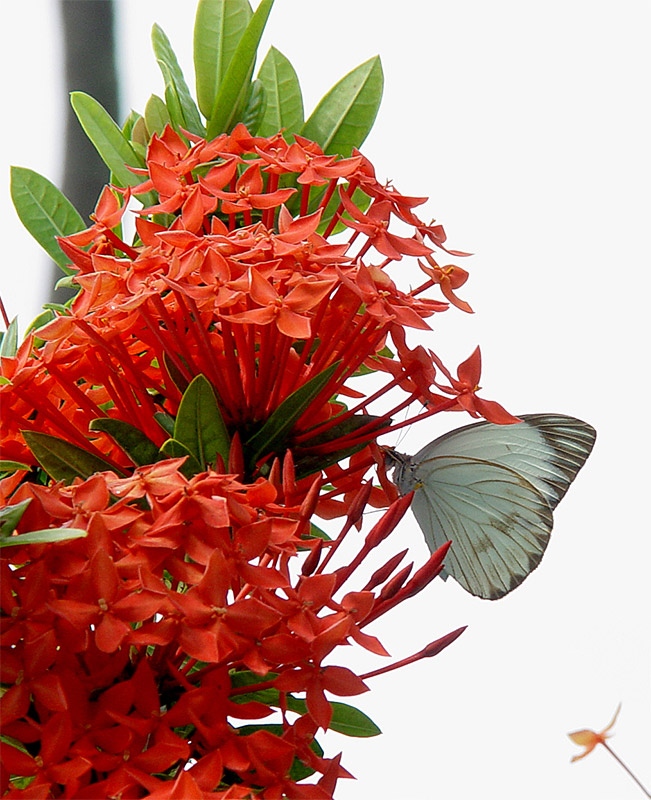 images gallery wallpapers