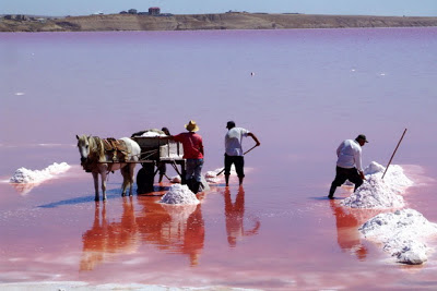 Pink Masazir Lake