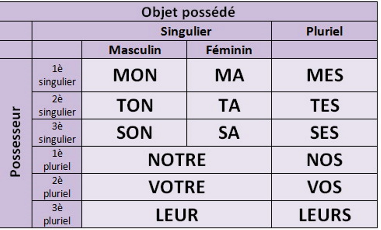 Notre nos. Notre nos. притяжательные прилагательные во французском. Les adjectifs possessifs во французском. Notre nos.