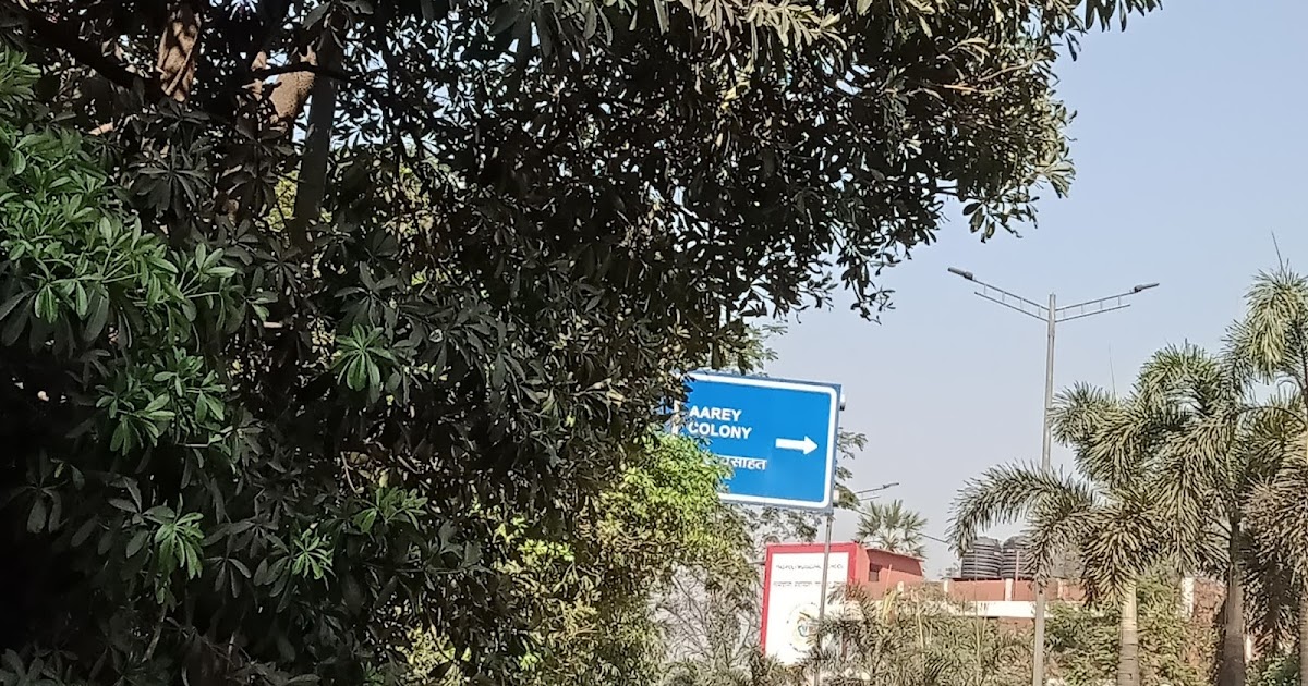 WALKING THE HAUNTED AAREY COLONY ROAD