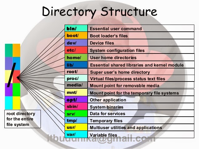 Linux Help Desk (BD): Linux - Centos 7 Directory Structure
