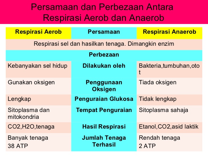 Latihan Aerobik dan Latihan Anaerobik