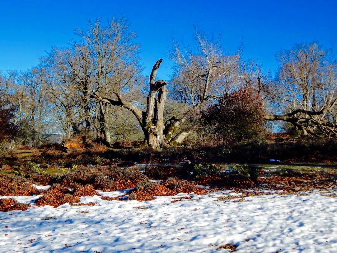 Paseos de Ikandu. Dolmen de Arteko Saro desde el Balcón Paseos de Ikandu. Dolmen de Arteko Saro desde el Balcón